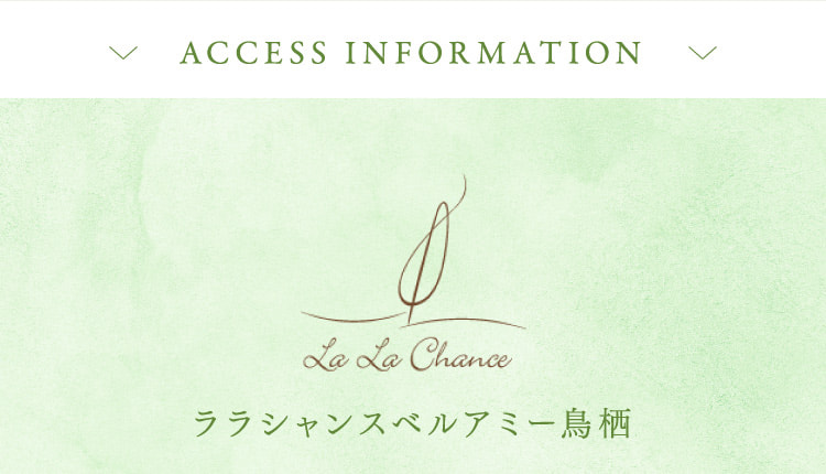 ACCESS INFORMATION