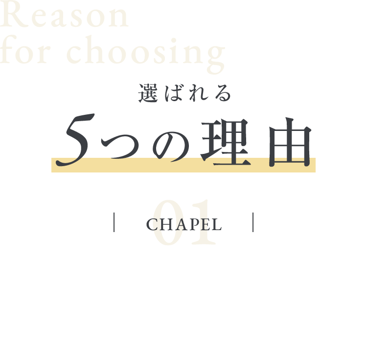 選ばれる5つの理由