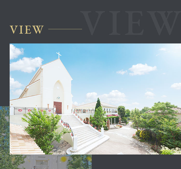 VIEW