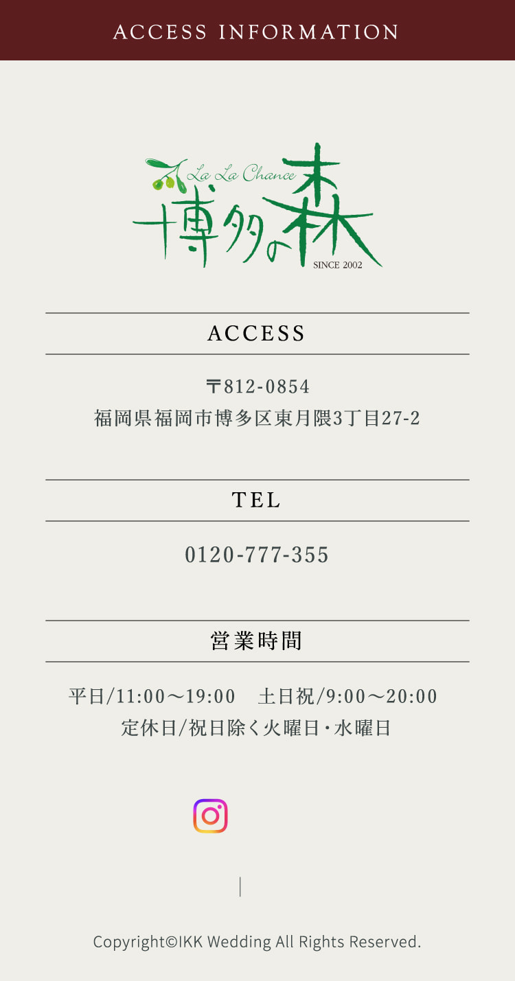 ACCESS INFORMATION