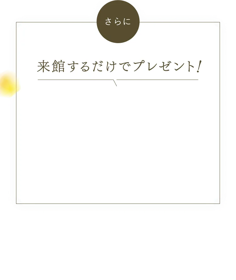来館するだけでプレゼント
