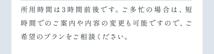 所用時間は3時間前後です。ご多忙の場合は、短時間でのご案内や内容の変更も可能ですので、ご希望のプランをご相談ください。