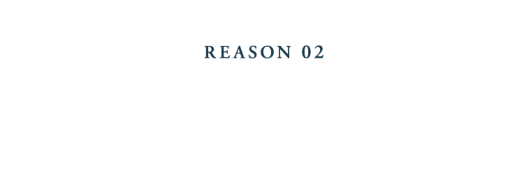 REASON 02