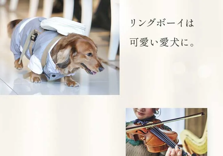 リングボーイは可愛い愛犬に。