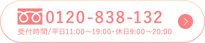 0120-838-132